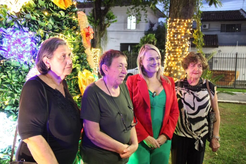 Luzes e solidariedade marcam abertura do natal de luz na câmara de lorena Luzes E Solidariedade Marcam Abertura Do Natal De Luz Na Câmara De Lorena
