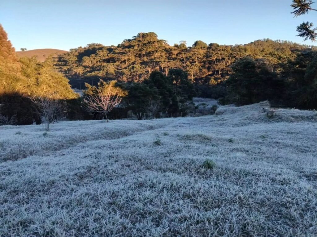 Madrugada De Forte Geada Nas Elevadas Altitudes Da Serra Da Mantiqueira. Alguns Registros Desta Quarta-Feira, 15 De Julho: