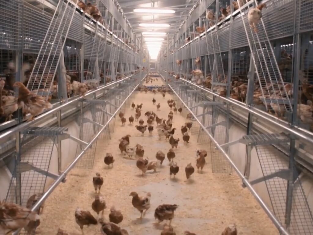 Granja Mantiqueira Anuncia Investimento De Mais De R$ 200 Milhões Em Lorena